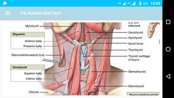 Human Anatomy ảnh chụp màn hình 2