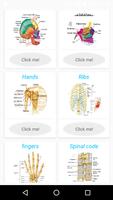 Human Anatomy ảnh chụp màn hình 3