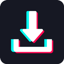 Tiktok Downloader No Watermark APK