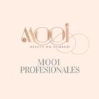 Mooi profesionales-icoon