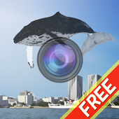 くじらカメラ　空のクジラを見にいこう！ ikon
