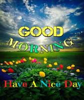 Good Morning Pictures Screenshot 2