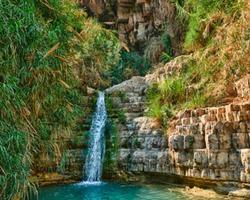 Wallpaper National Reserve of Ein Gedi screenshot 3