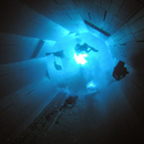 Wallpaper Nemo 33 Wallpapers APK