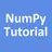 NumPy Tutorial APK