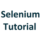 Selenium Tutorial icon