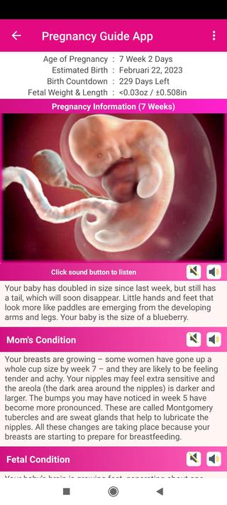 Pregnancy Guide Apps screenshot 13