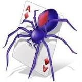 Spider Solitaire 아이콘