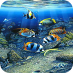 Wallpapers Aquarium HD The Rea icon