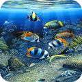 Wallpapers Aquarium HD The Rea