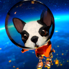 AstroDog icon