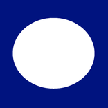 كشاف (شاشة أختبار)