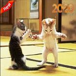 ندى حبيبة بابا و ماما - بدون ن