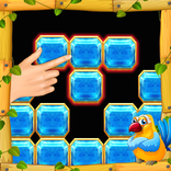 Block Puzzle Free : wood,Jewel