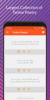 Tanhai Shayari постер