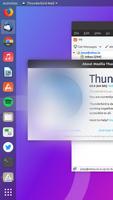 ThunderbirdMail: Email Advices تصوير الشاشة 1