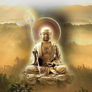 听佛经不用下载 地藏王菩萨 结缘 APK