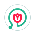 NeuroApp eMediQ