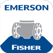 Emerson Severe Service