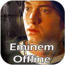 All Favorite Eminem  Latest Complete song APK