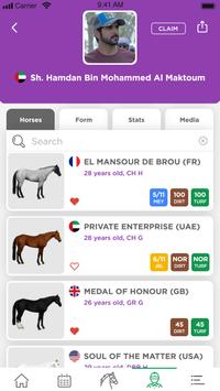 Emirates Racing Authority 截图 7