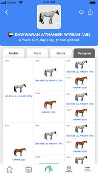 Emirates Racing Authority 截图 6