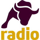 Radio Intereconomía APK