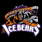 Knoxville Ice Bears icône