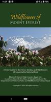 Wildflowers of Mount Everest Affiche
