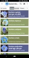 Wildflowers of Mount Everest captura de pantalla 1