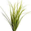 APK Montana Grasses