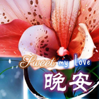 中國晚安和甜蜜的夢想祝福 ไอคอน