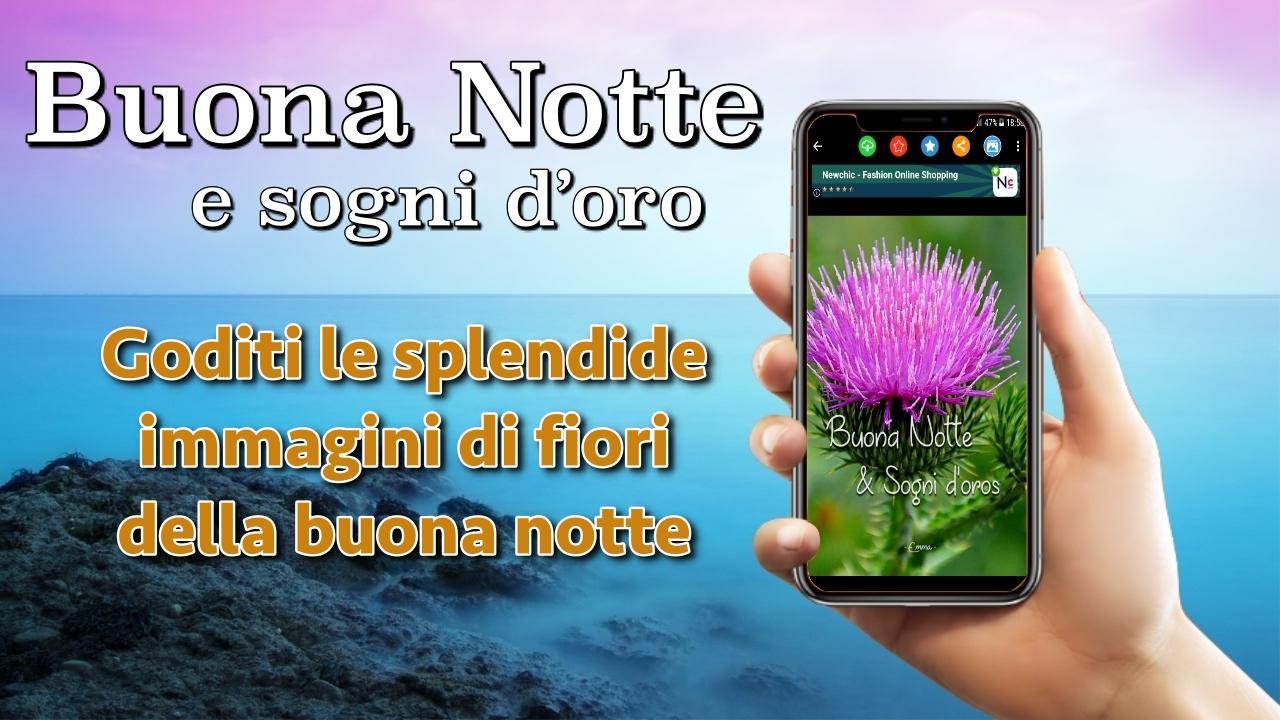 Buona Notte Italiana Sogni D Oro Desideri Messaggi Pour Android Telechargez L Apk