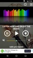 radio pro manele Poster