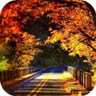 Scenery Photo Maker icon