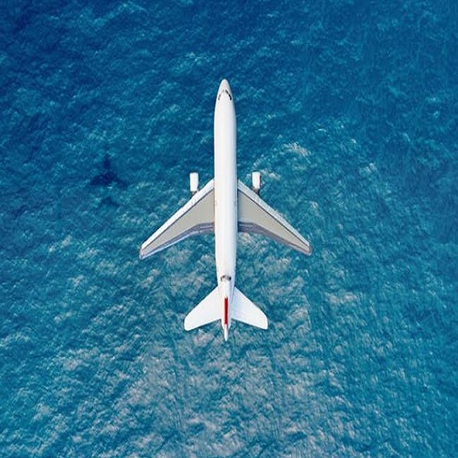 Elite plane : infinite flight, Simulator.