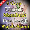 4 Cara untuk Membuat Pembersih Wajah Alami APK