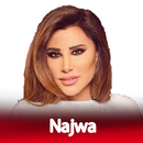 أغاني نجوى كرم بدون نت‎ APK