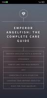 Emperor Angelfish Care Guide Plakat