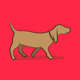 Meet My Doggo icon