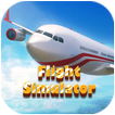 Real Flight Simulator
