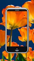 Wallpaper Tulip Flower Ekran Görüntüsü 1
