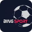 Bingsport