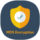 Encrypted Message md5 icône