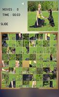 Slide Puzzle Affiche