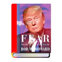 Fear : Trump in the White House PDF - BOB WOODWARD Affiche