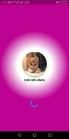 برنامه‌نما Cute Cats Videos عکس از صفحه