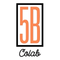 5B Colab VMS