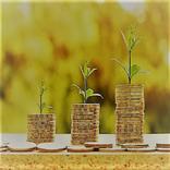 الربح ‏من ‏التطبيقات