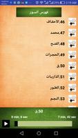 القرآن الكريم للشيخ حاتم -النص screenshot 1